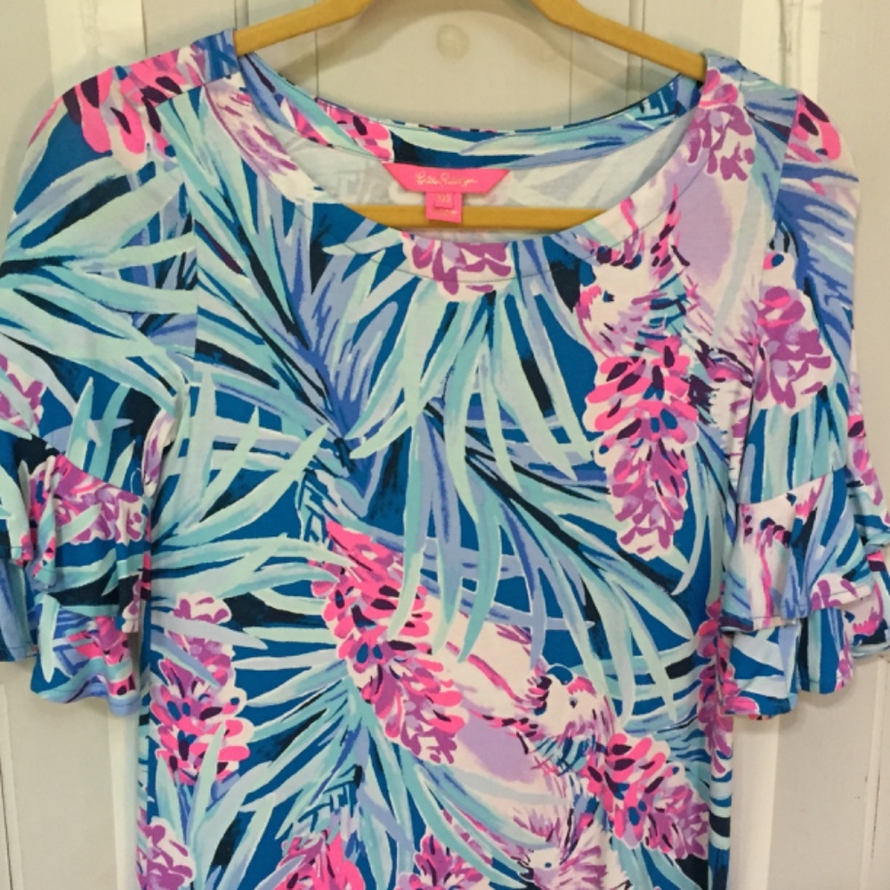 Lilly Pulitzer Blue and Pink Mini Dress - Picture 5 of 15